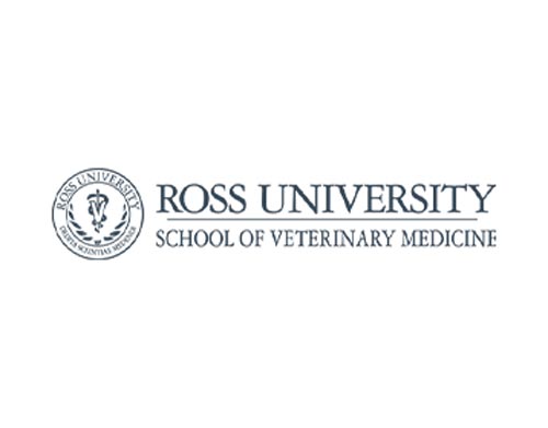 Job Offer: Assistant, Associate Professor – Veterinary Bacteriology