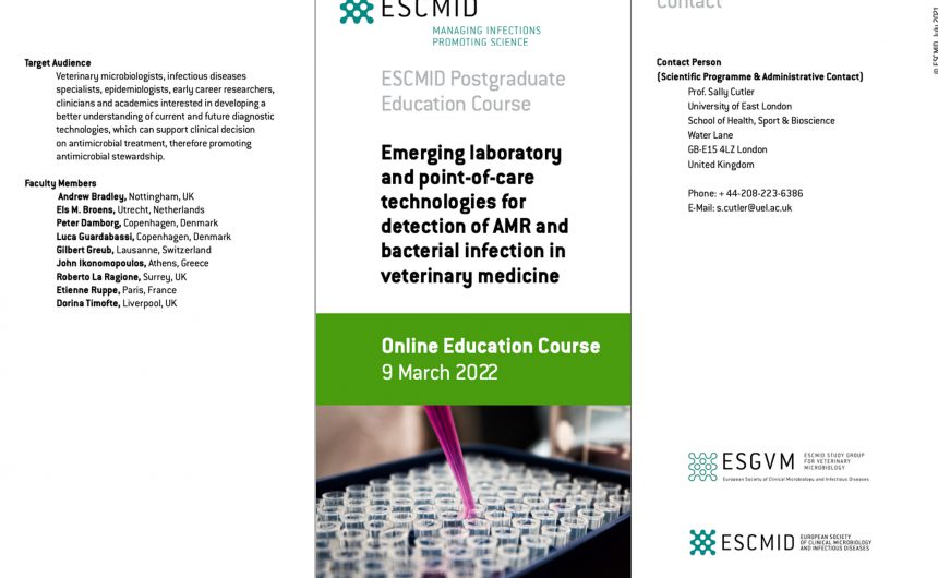 Online Educational Workshop