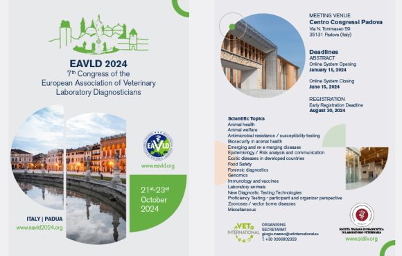 EAVLD 2024